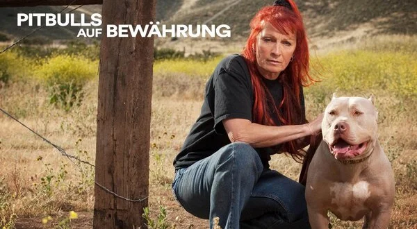 Pitbulls auf Bewährung