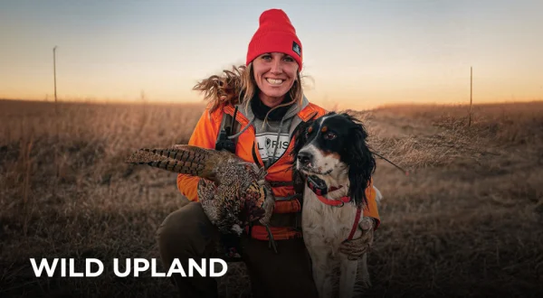 Wild Upland