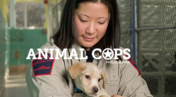 Animal Cops Philadelphia