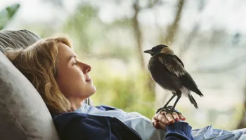 Beflügelt – Ein Vogel namens Penguin Bloom