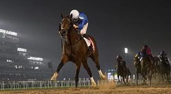 Highlights Of Dubai World Cup