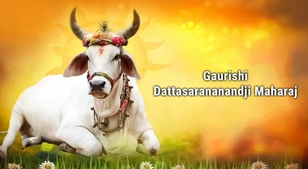 गौरीऋषि दत्तशरणानन्दजी महाराज