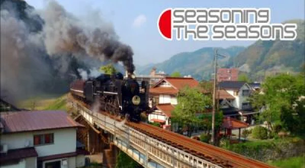 Seasoning The Seasons
