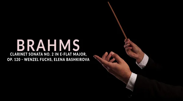 Brahms : Clarinet Sonata No. 2 in E-flat major, op. 120 - Wenzel Fuchs, Elena Bashkirova
