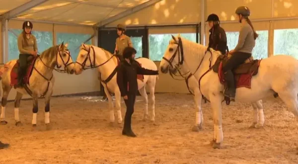 Au galop ! Une saison à cheval