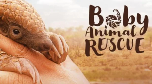 Baby Animal Rescue