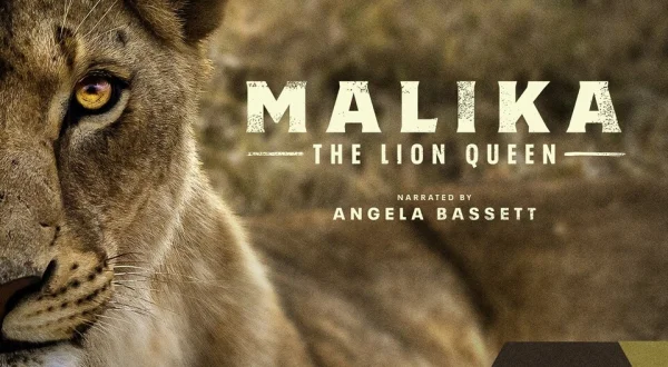 Malika the Lion Queen