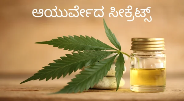 Ayurveda Secrets
