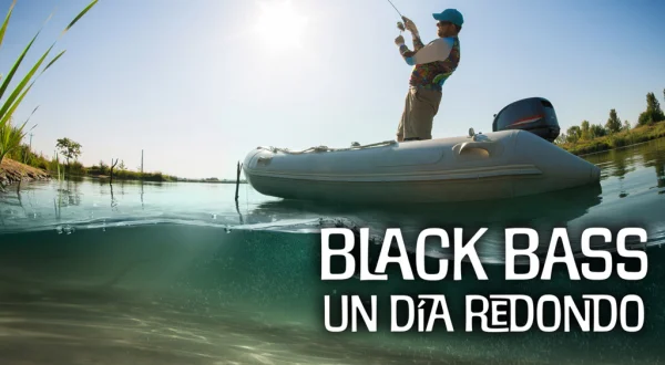 Black Bass Un Día Redondo