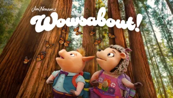 Wowsabout