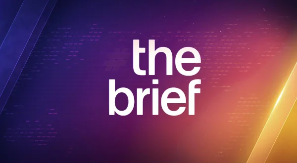 The Brief