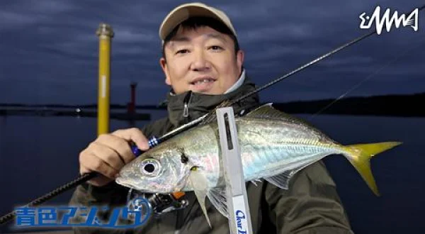 青色アジング 10 三重・渡鹿野島でナイトアジング