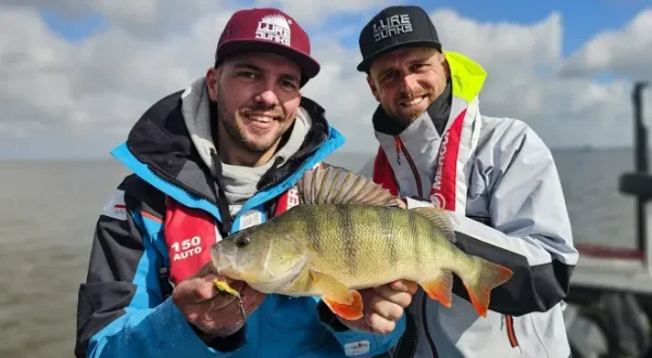 Fisch auf Fisch - Livebiss auf Livebiss