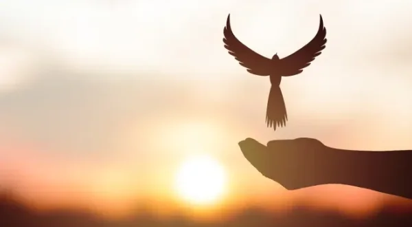 La vérité vous rendra libres