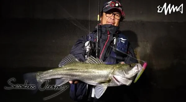Seabass Journey 41 山口県山陽エリア