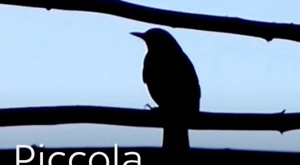 Piccola migratoria in Toscana