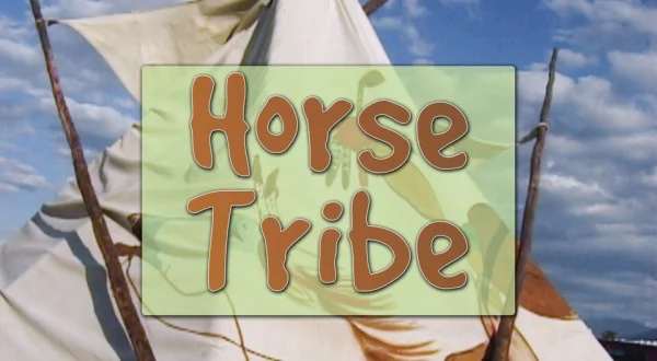 Horse Tribe