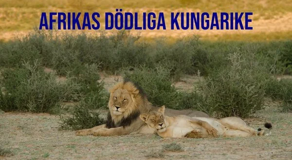 Afrikas dödliga kungarike