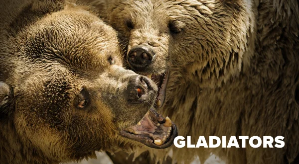 Gladiators