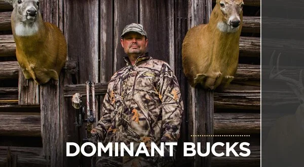 Dominant Bucks