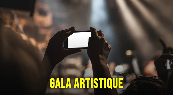 Gala artistique