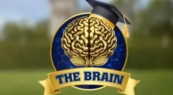The Brain