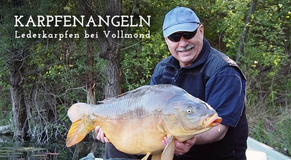 Karpfenangeln - Lederkarpfen bei Vollmond