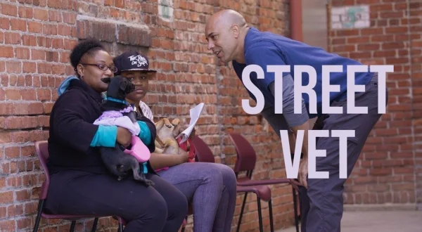 Street Vet