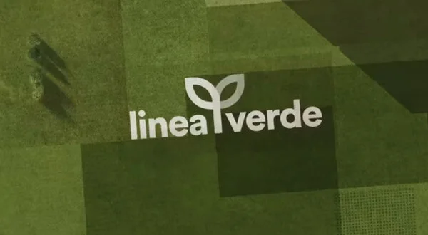 Linea verde