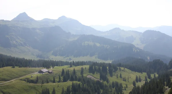 Hermann Maier: Meine Heimat