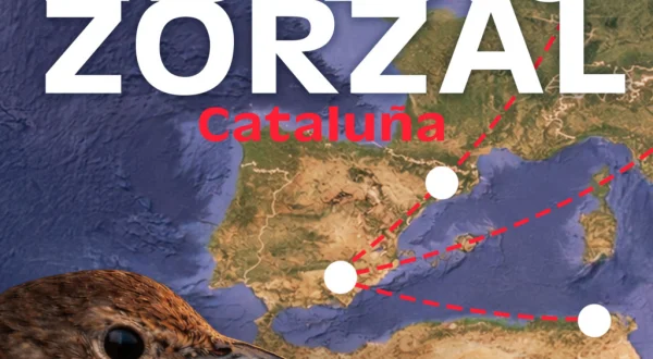Proyecto zorzal cataluña
