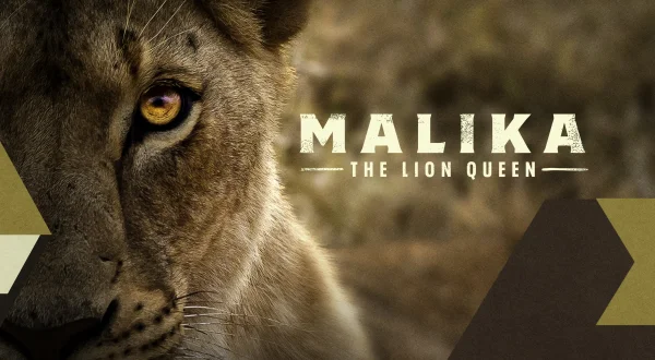 Malika: Løvedronningen