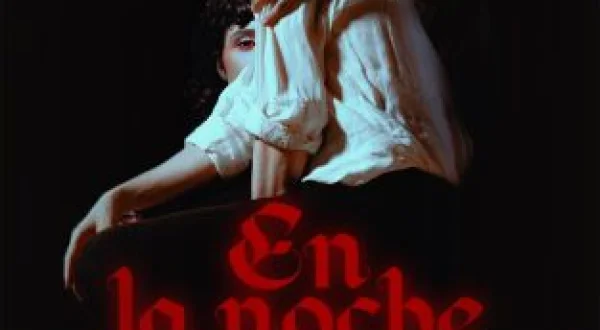 En la noche caminamos solos