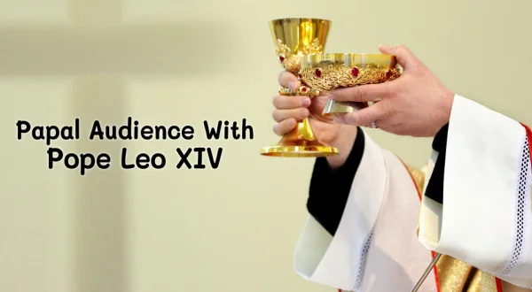 Papal Audience With Pope Leo XIV