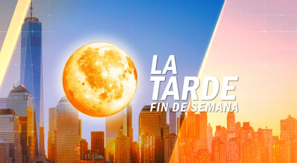 Live: La tarde FDS