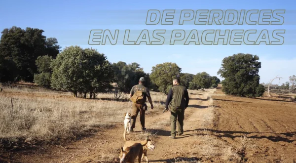 De perdices en las pachecas