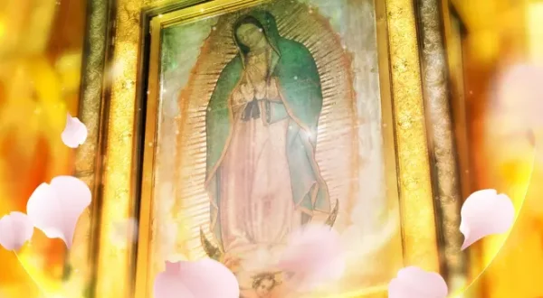 La rosa de Guadalupe