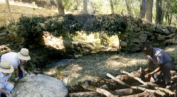 Construcción de un puente con madera, piedras y ramas para cruzar un río en la naturaleza
