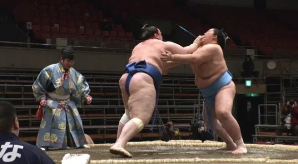 Grand Sumo Highlights