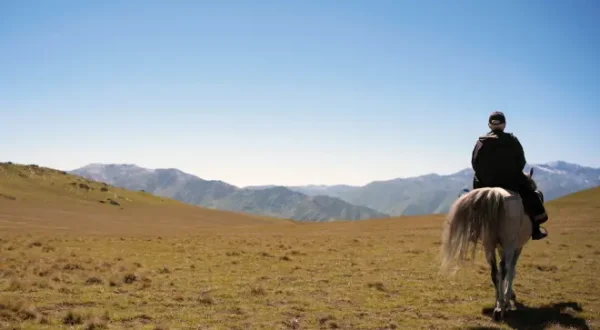 Der alte Arzt und sein Pferd - Über den Wolken Georgiens