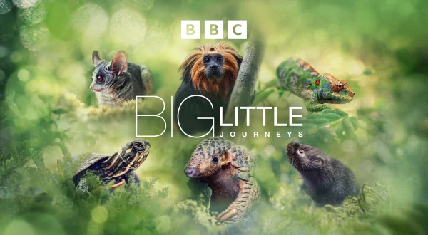 Big Little Journeys