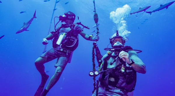 Der echte Sharknado – Expedition zu den Salomonen