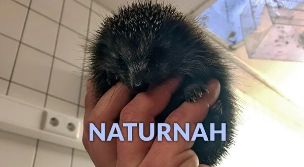 NaturNah