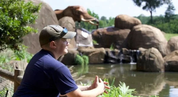 Une saison au zoo