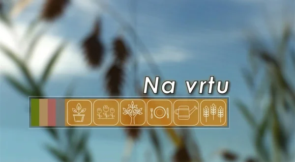 Na vrtu