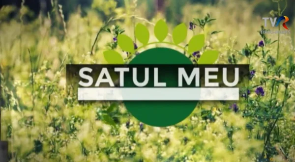 Satul meu