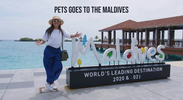 Pets Goes to the Maldives