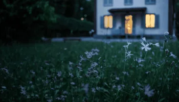 Une maison, un artiste