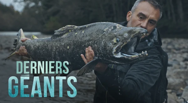 Derniers géants