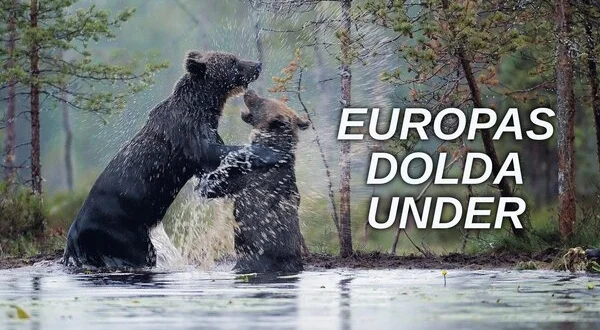 Europas dolda under